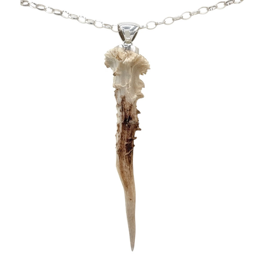 Natural deer antler pendant with 925 sterling silver bail on white background